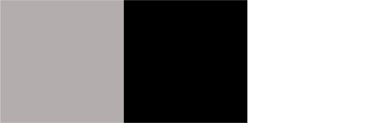 Đặc Biệt Bạc Đen Xám